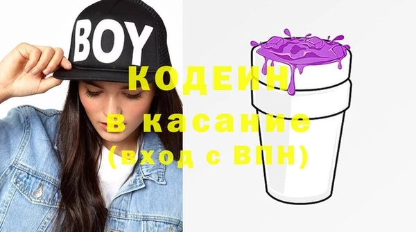 ПСИЛОЦИБИНОВЫЕ ГРИБЫ Аркадак