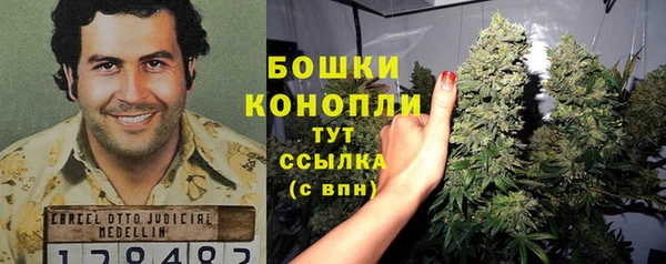 трава Армянск