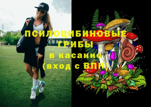 дурь Осташков