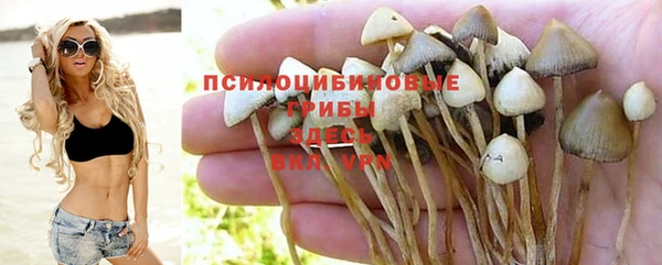 ПСИЛОЦИБИНОВЫЕ ГРИБЫ Аркадак