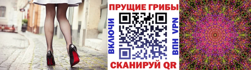 цена   Соль-Илецк  блэк спрут ссылка  Псилоцибиновые грибы Cubensis 