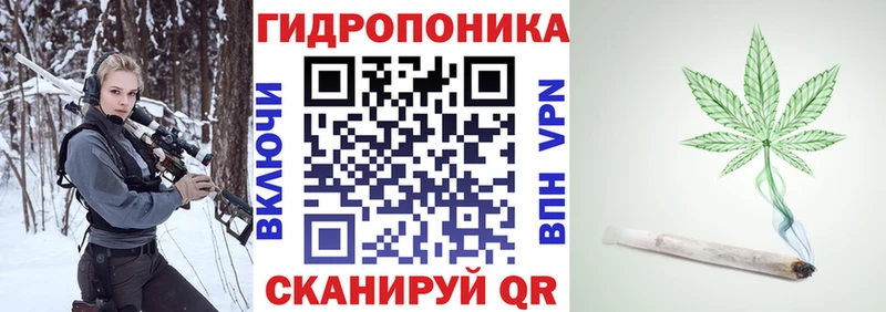 Канабис ГИДРОПОН  как найти   Соль-Илецк 